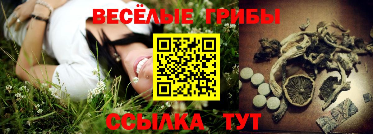 Галлюциногенные грибы Cubensis Зерноград